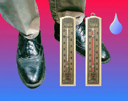 Temperature-Extremes
