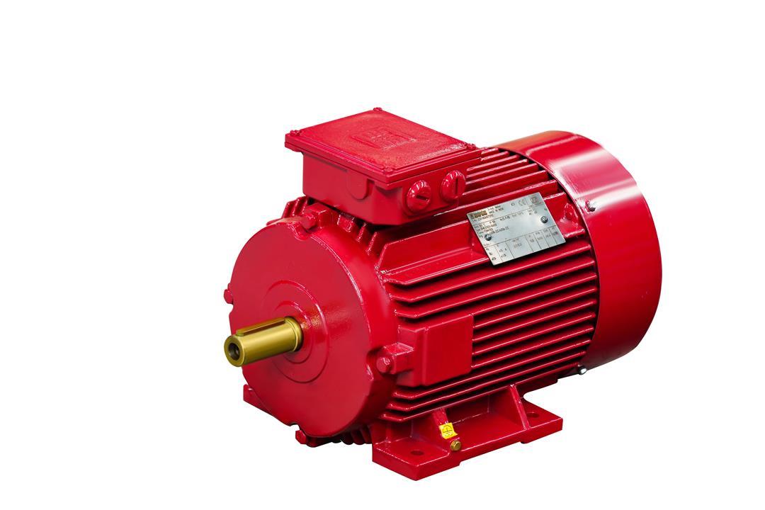 View IE2 High Efficiency Standard Motors