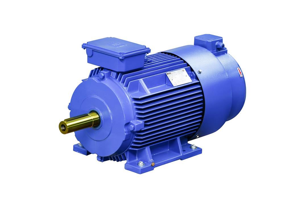 Buy Inverter Duty Motors