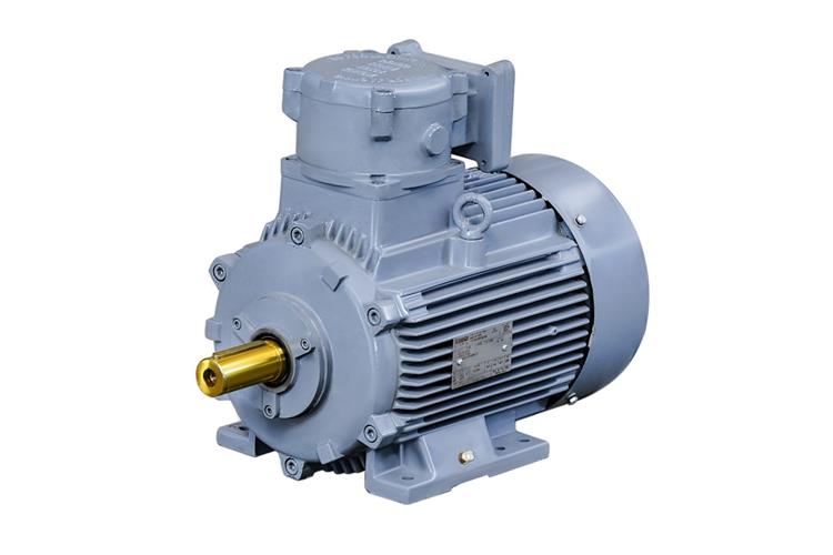 Multi Speed Motors
